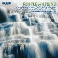 ARI RASILAINEN / アリ・ラシライネン / 北斗のささやき～北欧音楽小品集
