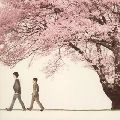 KOBUKURO / コブクロ / 桜　Ｓｐｒｉｎｇ　Ｐａｃｋａｇ