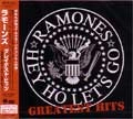 RAMONES / ラモーンズ / グレイテスト・ヒッツ～３０周年