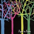 TAPES 'N TAPES / テープス・エン・テープス / ザ・ルーン（初回）