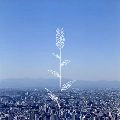 KOBUKURO / コブクロ / 蕾