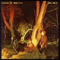 ECHO & THE BUNNYMEN / エコー&ザ・バニーメン / クロコダイルズ