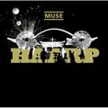 MUSE / ミューズ / ハープ