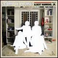 ALBERT HAMMOND JR / アルバート・ハモンド・ジュニア / コモ・テ・ヤマ？