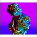NEW ORDER / ニュー・オーダー / テクニーク（コレクターズ･エディション）