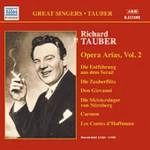 RICHARD TAUBER / リヒャルト・タウバー / リヒャルト・タウバーのオペラ・アリア集第2集(1926-1946) / TAUBER-OPERA ARIAS 2