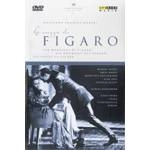 DANIEL BARENBOIM / ダニエル・バレンボイム / MOZART: Nozze di Figaro(NTSC)