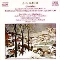 MATYAS ANTAL / マーティアス・アンタル / J.S.BACH: CANTATAS BWV51/208