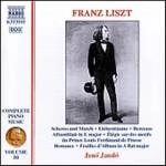 JENO JANDO / イェネ・ヤンドー / LISZT:PF10-SCHERZO&MARCH/ / リスト:ピアノ曲全集 10 - 「スケルツォと行進曲」/「愛の夢」/「子守歌」/「プロイセンのルイ・フェルディナント公のモティーフによる悲歌」/他