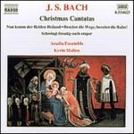 KEVIN MALLON / ケヴィン・マロン / J.S. バッハ:クリスマス・カンタータ集(マロン) / BACH: CHRISTMAS CANTATAS