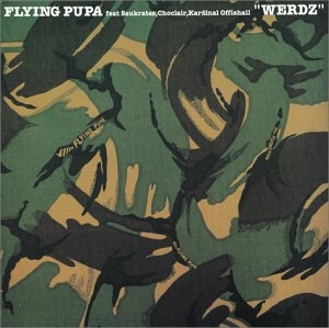 Flying Pupa (DJ Yujiro & ANDO) / フライング・プーバ / WERDZ