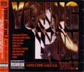 V.A. / オムニバス / ＹＯＵＮＧ　ＬＩＯＮ　ＶＯＬ．２