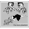 FOX LOCO PHANTOM / フォックスロコファントム / ＣＨＡＯＴＩＣ　ＭＯＮＳＴＥＲ