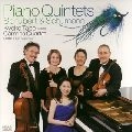 KYOKO TABE / 田部京子 / シューベルト:ピアノ五重奏曲「ます」（SACDハイブリッド） / SCHUBERT: PIANO QUINTET IN A MAJOR TROUT / SCHUMANN: PIANO QUINTET IN E-FLAT MAJOR