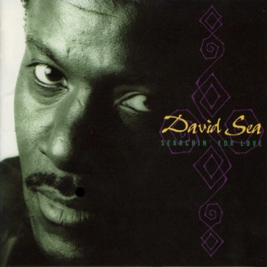 DAVID SEA / デビッド・シー / サーチン・フォー・ラヴ (国内盤) / SEARCHIN' FOR LOVE
