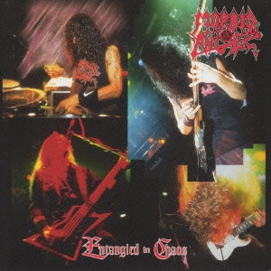 MORBID ANGEL / モービッド・エンジェル / ENTANGLED IN CHAOS / インタングルド・イン・ケイオス
