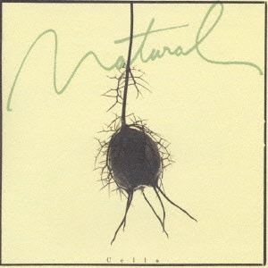 YOKO HASEGAWA / 長谷川陽子  / ナチュラル / NATURAL