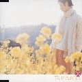 Ayano Tsuji / つじあやの / 春風