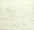 レミオロメン / 粉雪（初回）