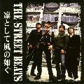 THE STREET BEATS / ザ・ストリート・ビーツ / 凛として風の如く