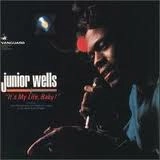 JUNIOR WELLS / ジュニア・ウェルズ / イッツ・マイ・ライフ・ベイビー!