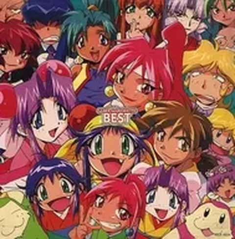 MEGUMI HAYASHIBARA / 林原めぐみ / セイバ－マリオネット・ベスト