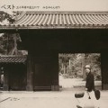 RANBO MINAMI / みなみらんぼう / ベスト　三十年目の途上にて