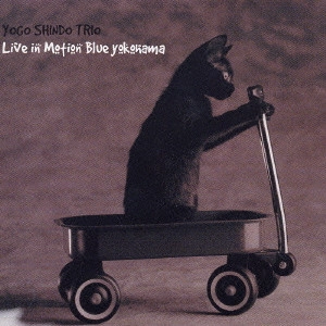 YOGO SHINDO / 進藤陽悟 / ライブ・イン・モーション・ブルー・ヨコハマ / LIVE IN MOTION BLUE YOKOHAMA