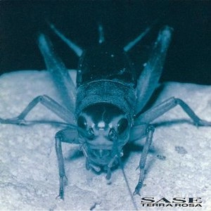 TERRA ROSA / テラ・ローザ / SASE -刹那の甘露-