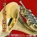 大学・職場・一般編 / ゴールド，金賞！！！０６（３）