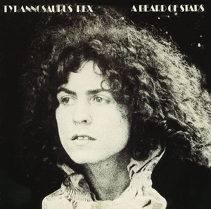 T. REX / T・レックス / ベアード・オブ・スターズ