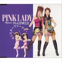 PINK LADY / ピンク・レディー / テレビが来た日／モンスターウェーブ