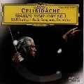 SERGIU CELIBIDACHE / セルジゥ・チェリビダッケ / ブラームス：交響曲第１番