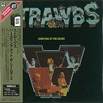 STRAWBS / ストローブス / バースティング･アット･ザ･シ