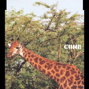 CUNE / クローバー