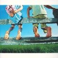 EMIKO SHIRATORI / 白鳥英美子 / セレブレィション
