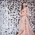 EMIKO SHIRATORI / 白鳥英美子 / ＴＨＥ　ＣＬＡＳＳＩＣＳ～ｂｅ