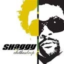 SHAGGY / シャギー / クロージズ・ドロップ