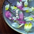 KEI OGURA / 小椋佳 / 自分史ベスト35th Anniversary スペシャル・ベスト・アルバム