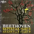 VIENNA PHILHARMONIC WIND GROUP / ウィーン・フィルハーモニー木管グループ  / ベートーヴェン：七重奏曲　　　
