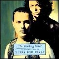 TEARS FOR FEARS / ティアーズ・フォー・フィアーズ / イントロダクション・トゥ・ティ