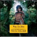 NICK DRAKE / ニック・ドレイク / イントロダクション・トゥ・ニッ