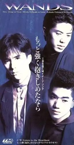 WANDS / もっと強く抱きしめたなら