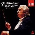 SERGIU CELIBIDACHE / セルジゥ・チェリビダッケ / ブルックナー：交響曲第６番　　