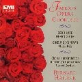 BERNARD HAITINK / ベルナルト・ハイティンク / オペラ合唱の花束　　　　　　　