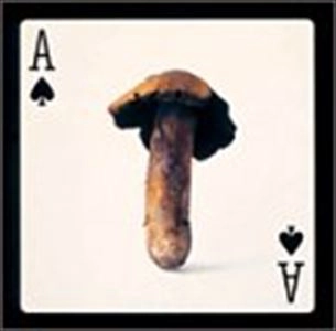 RC SUCCESSION / RCサクセション / スペードのエース
