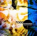 TODD RUNDGREN (& UTOPIA) / トッド・ラングレン (&ユートピア) / アナザー・サイド・オブ・ロキシ