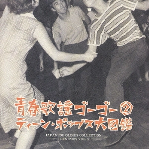 V.A. / オムニバス / 青春歌謡ゴーゴー2~ティーン・ポップス大図鑑~ / JAPANESE OLDIES COLLECTION TEEN POPS VOL.2