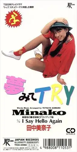 田中美奈子/小室哲哉 / 夢みてTRY