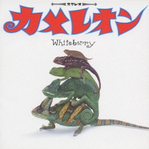 Whiteberry /  J     I  